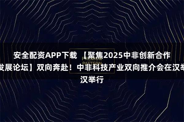 安全配资APP下载 【聚焦2025中非创新合作与发展论坛】双向奔赴！中非科技产业双向推介会在汉举行