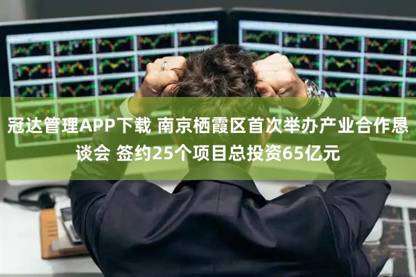 冠达管理APP下载 南京栖霞区首次举办产业合作恳谈会 签约25个项目总投资65亿元