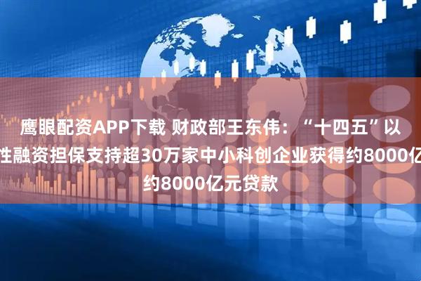 鹰眼配资APP下载 财政部王东伟：“十四五”以来政府性融资担保支持超30万家中小科创企业获得约8000亿元贷款