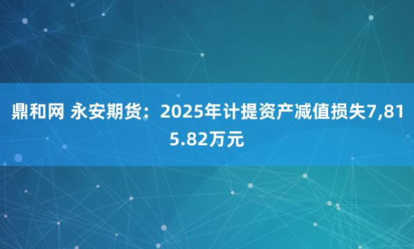 鼎和网 永安期货：2025年计提资产减值损失7,815.82万元